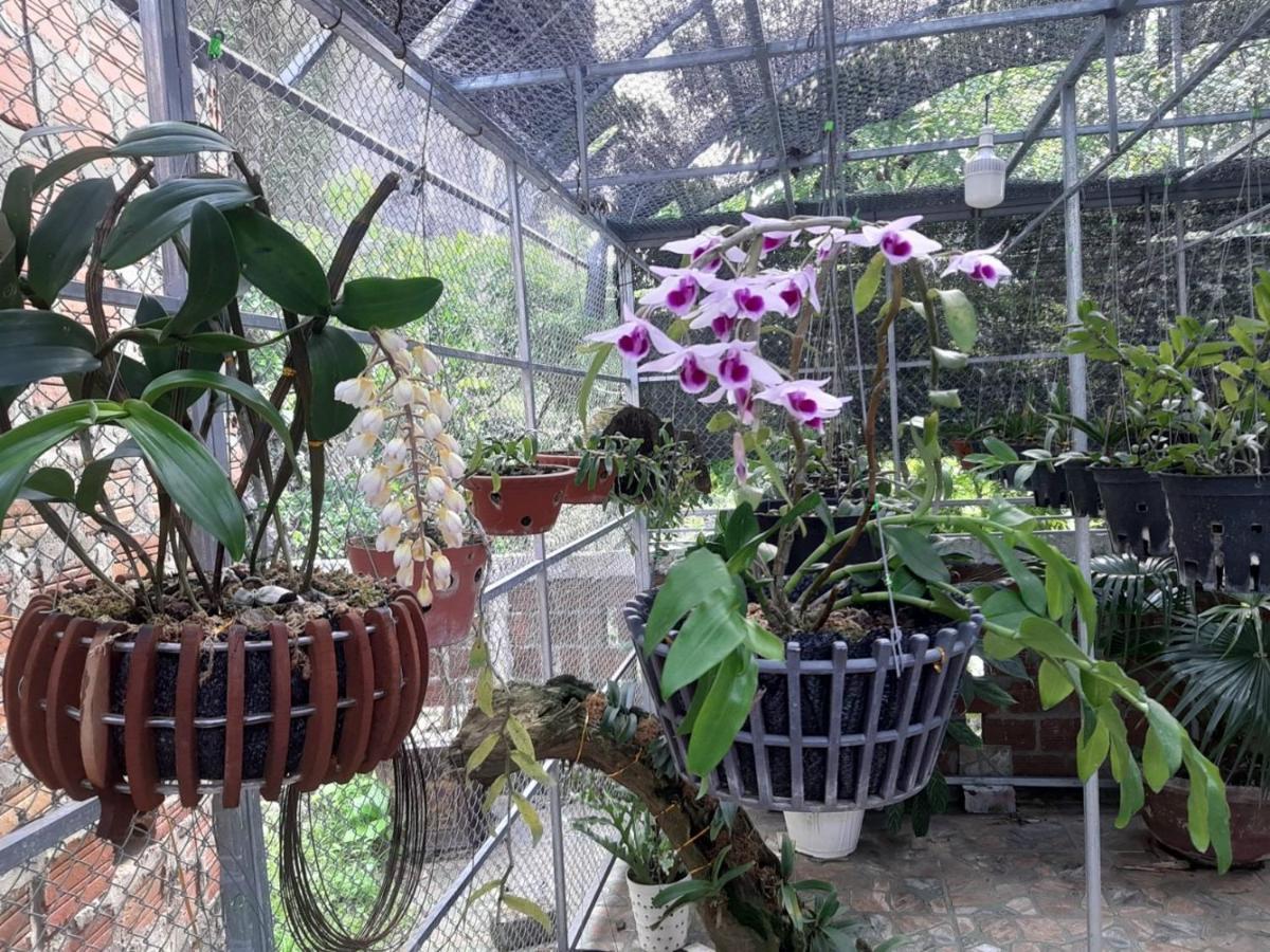 Thien Thanh Hotel Phong Nha Eksteriør billede