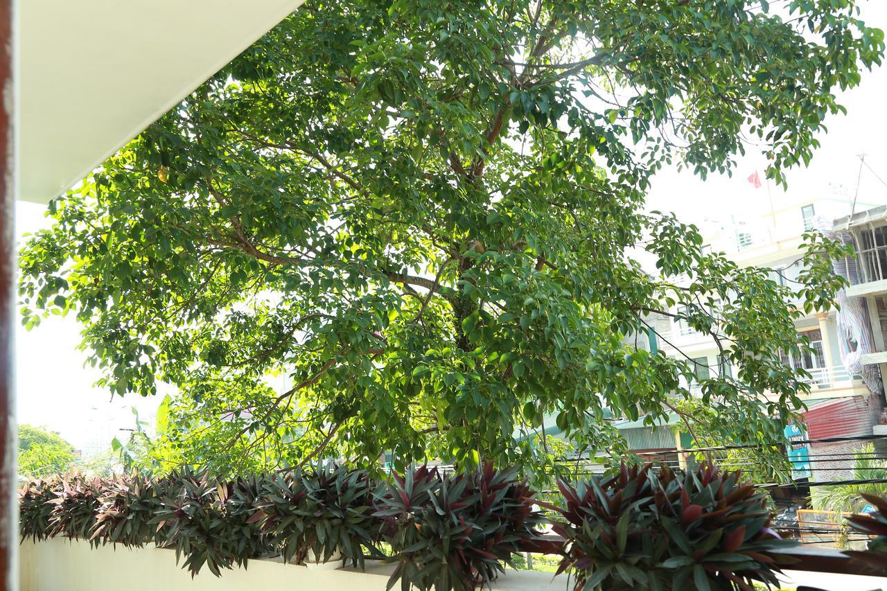 Thien Thanh Hotel Phong Nha Eksteriør billede